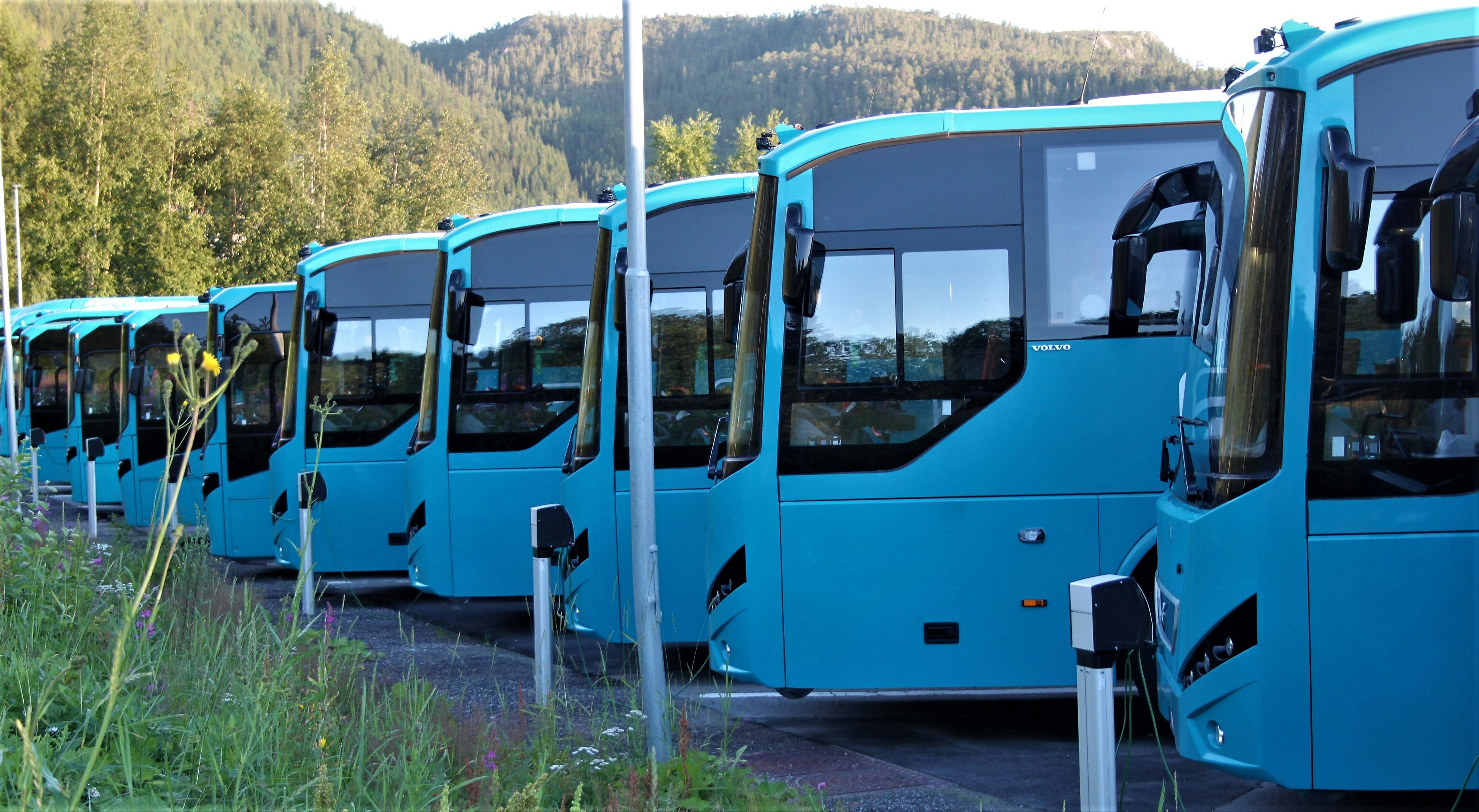 Elektrobus